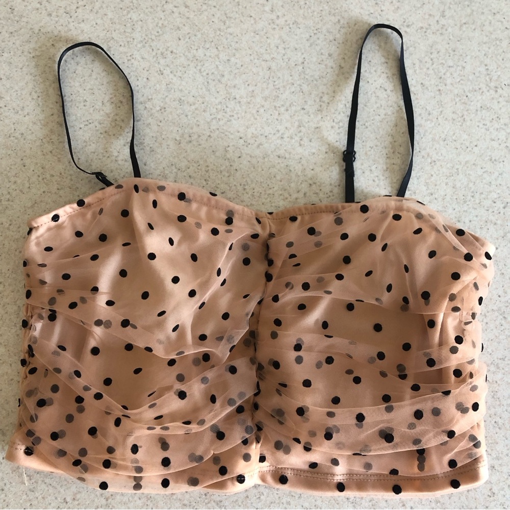 Forever 21 Tops | Pretty in Khaki| Sheer Crop Top | Color: Khaki | Size: L